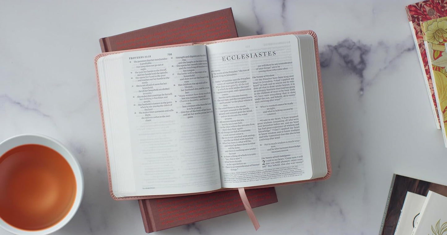 B ESV LARGE PRINT COMPACT BIBLE  BLUSH ROSE (RED LETTER EDITION)