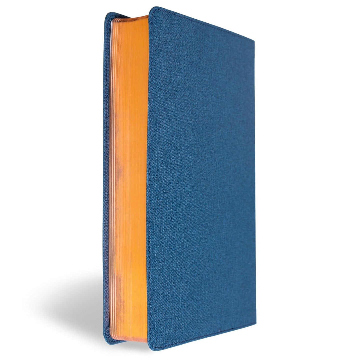 B CSB MEN'S DAILY BIBLE BLUE (BLACK LETTER EDITION)