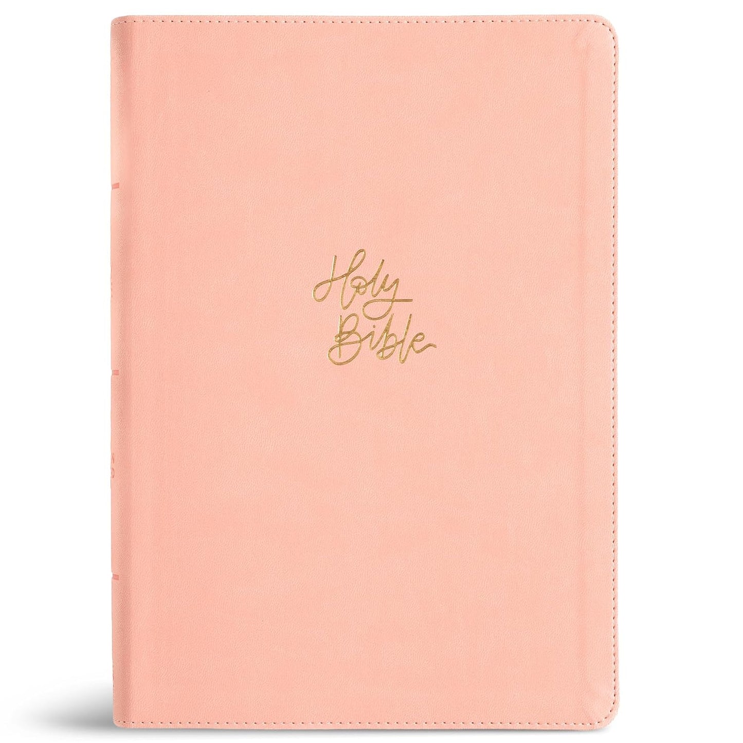 B CSB SUPER GIANT PRINT REFERENCE BIBLE  DIGITAL STUDY EDITION  PINK INDEXED (RED LETTER EDITION)