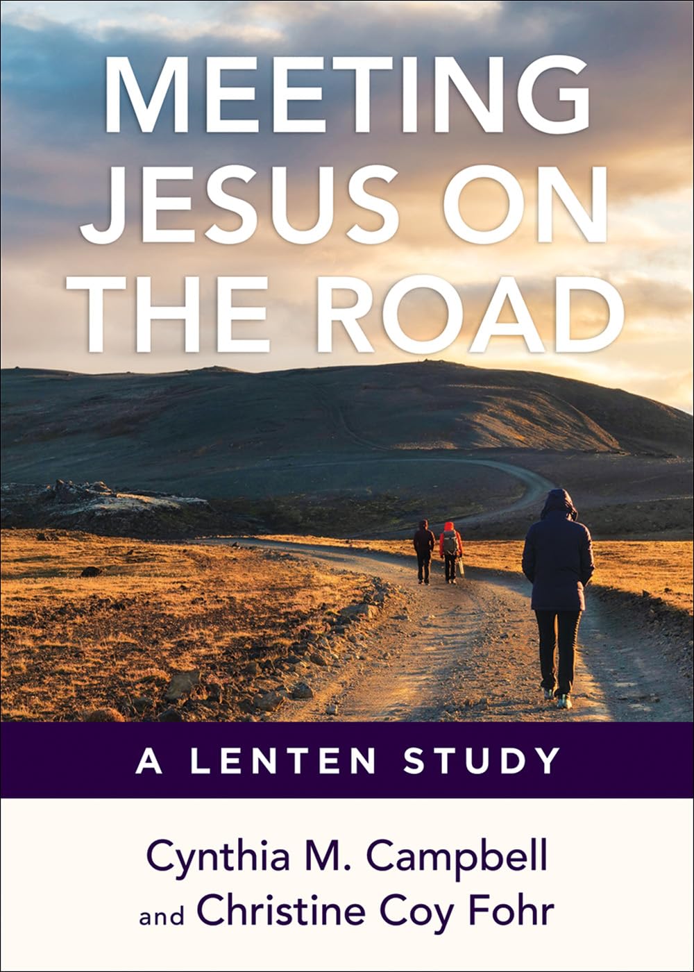 MEETING JESUS ON THE ROAD: A LENTEN STUDY