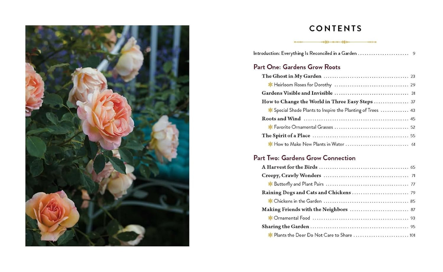 SEEDTIME AND HARVEST: HOW GARDENS GROW ROOTS  CONNECTION  WHOLENESS  AND HOPE