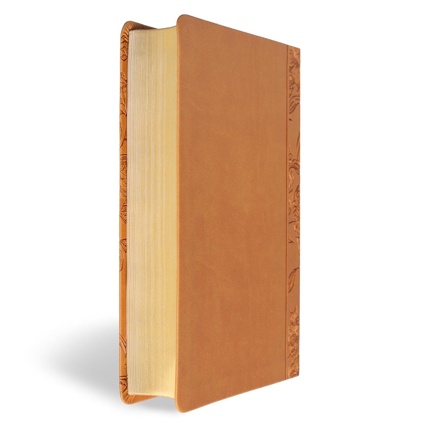 B CSB LARGE PRINT PERSONAL SIZE REFERENCE BIBLE  DIGITAL STUDY EDITION  BROWN (RED LETTER EDITION)