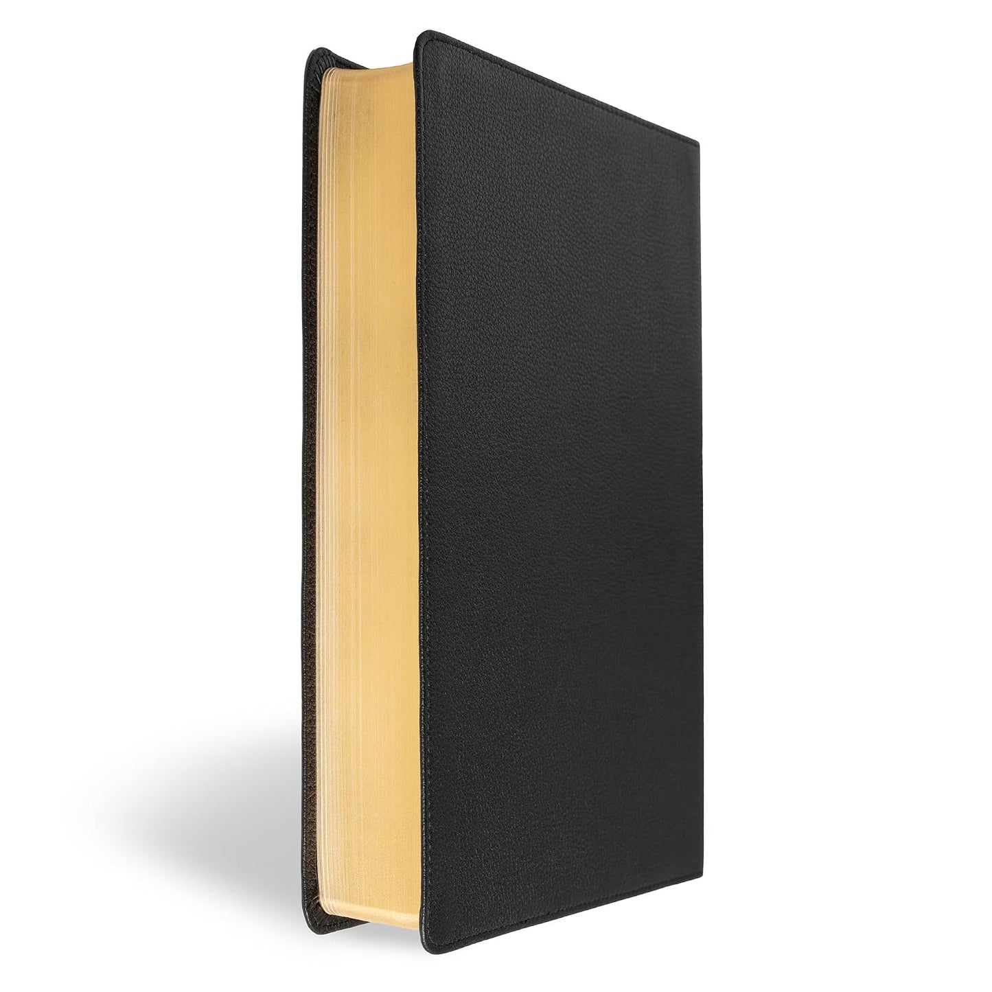 B CSB SUPER GIANT PRINT REFERENCE BIBLE  DIGITAL STUDY EDITION  BLACK (RED LETTER EDITION)