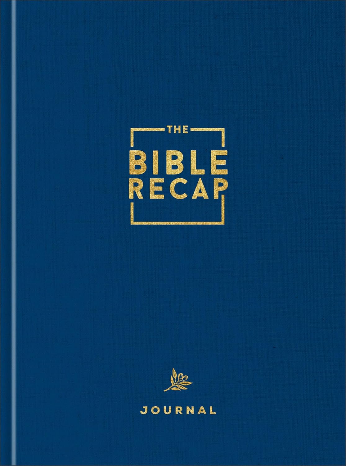 THE BIBLE RECAP: YOUR DAILY COMPANION TO THE ENTIRE BIBLE  DELUXE EDITION (JOURNAL)