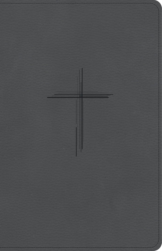 B CSB PERSONAL SIZE GIANT PRINT BIBLE CHARCOAL (RED LETTER EDITION)