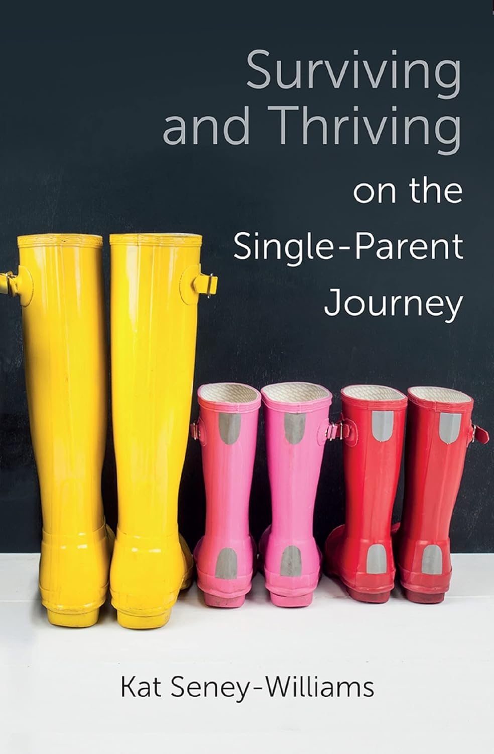 SURVIVING AND THRIVING ON THE SINGLE PARENT JOURNEY: A STEP-BY-STEP APPROACH