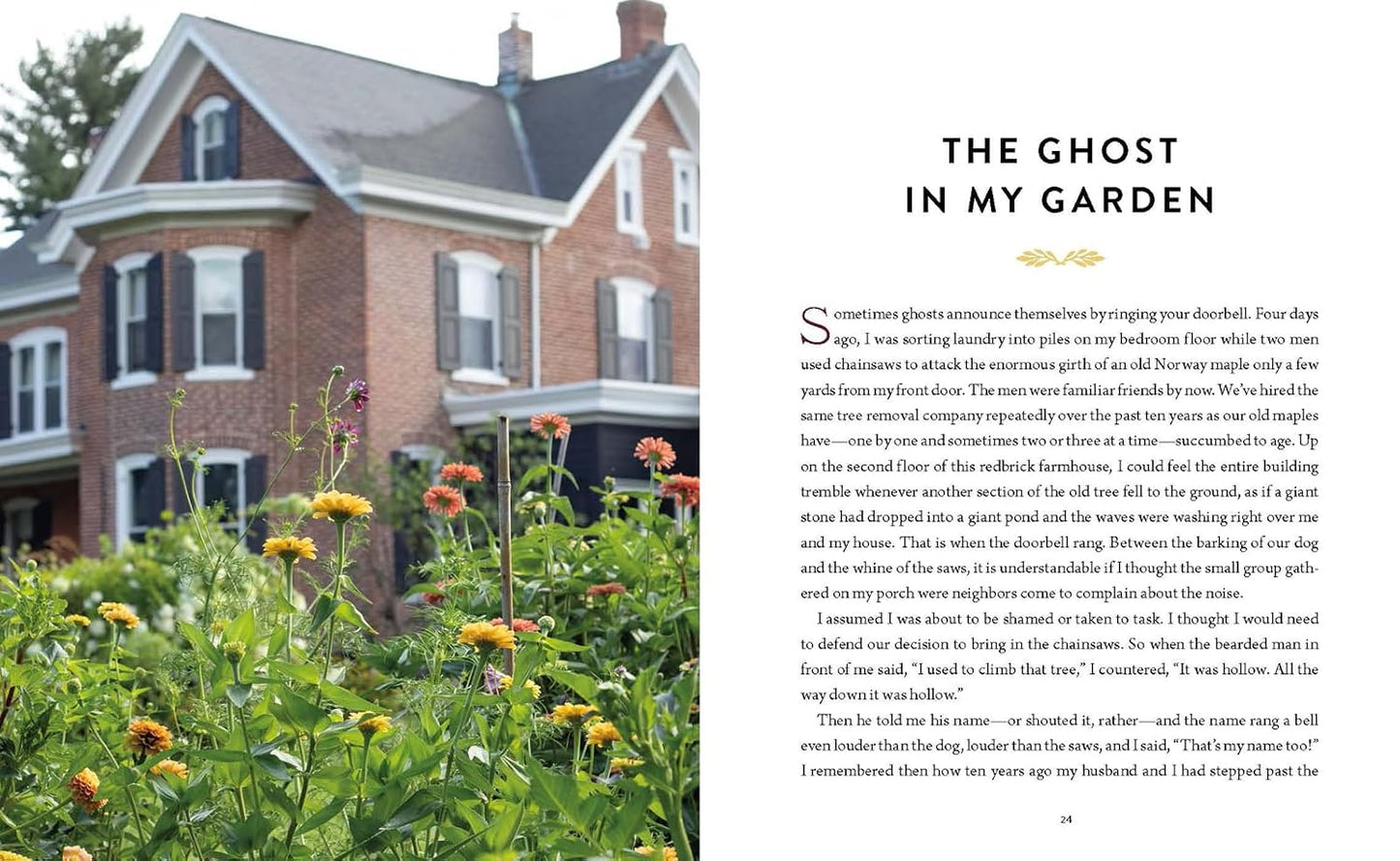 SEEDTIME AND HARVEST: HOW GARDENS GROW ROOTS  CONNECTION  WHOLENESS  AND HOPE