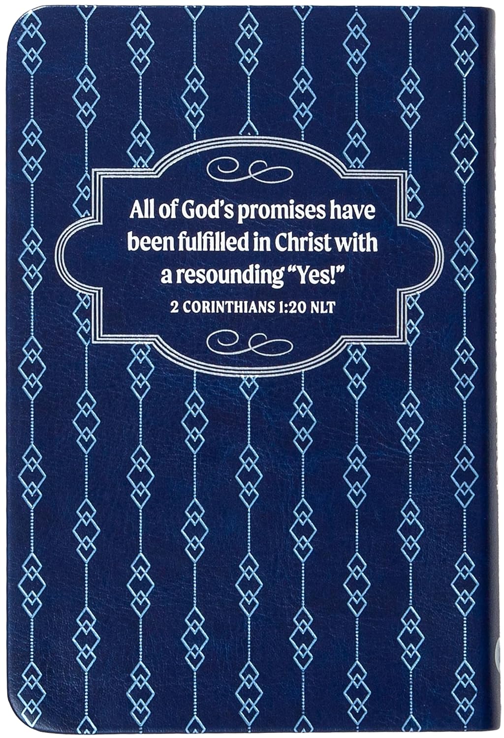 100 BIBLE PROMISES FOR MEN