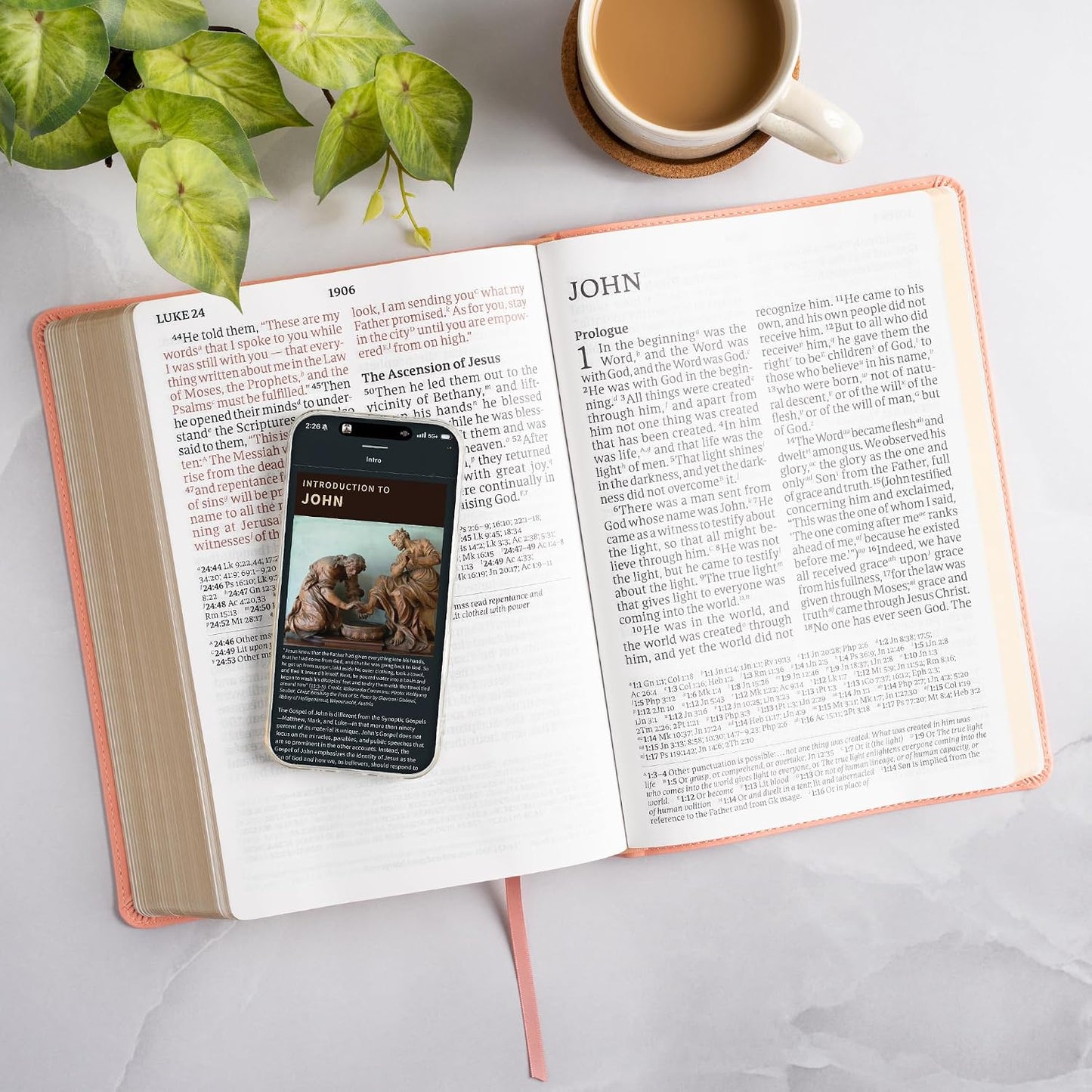 B CSB SUPER GIANT PRINT REFERENCE BIBLE  DIGITAL STUDY EDITION  PINK (RED LETTER EDITION)