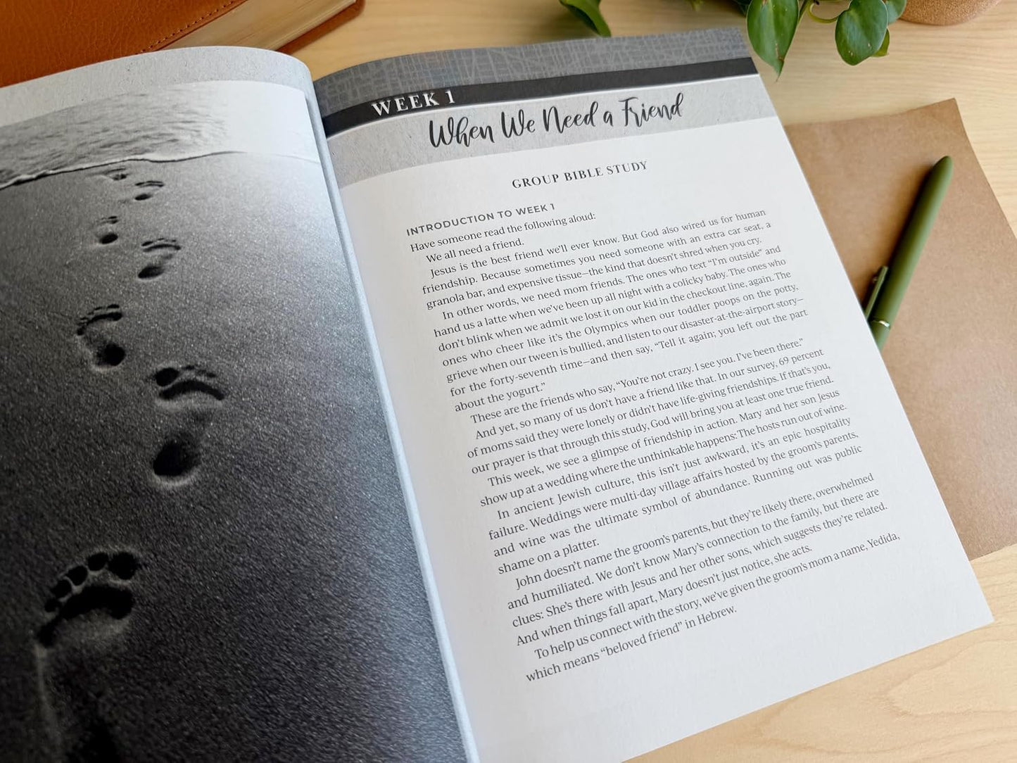 MOMS ON THE WAY (7-WEEK BIBLE STUDY WITH VIDEO ACCESS): FOLLOWING JESUS THROUGH THE CHALLENGES OF MOTHERHOOD (IVP BIBLE STUDY EXPERIENCE SERIES)