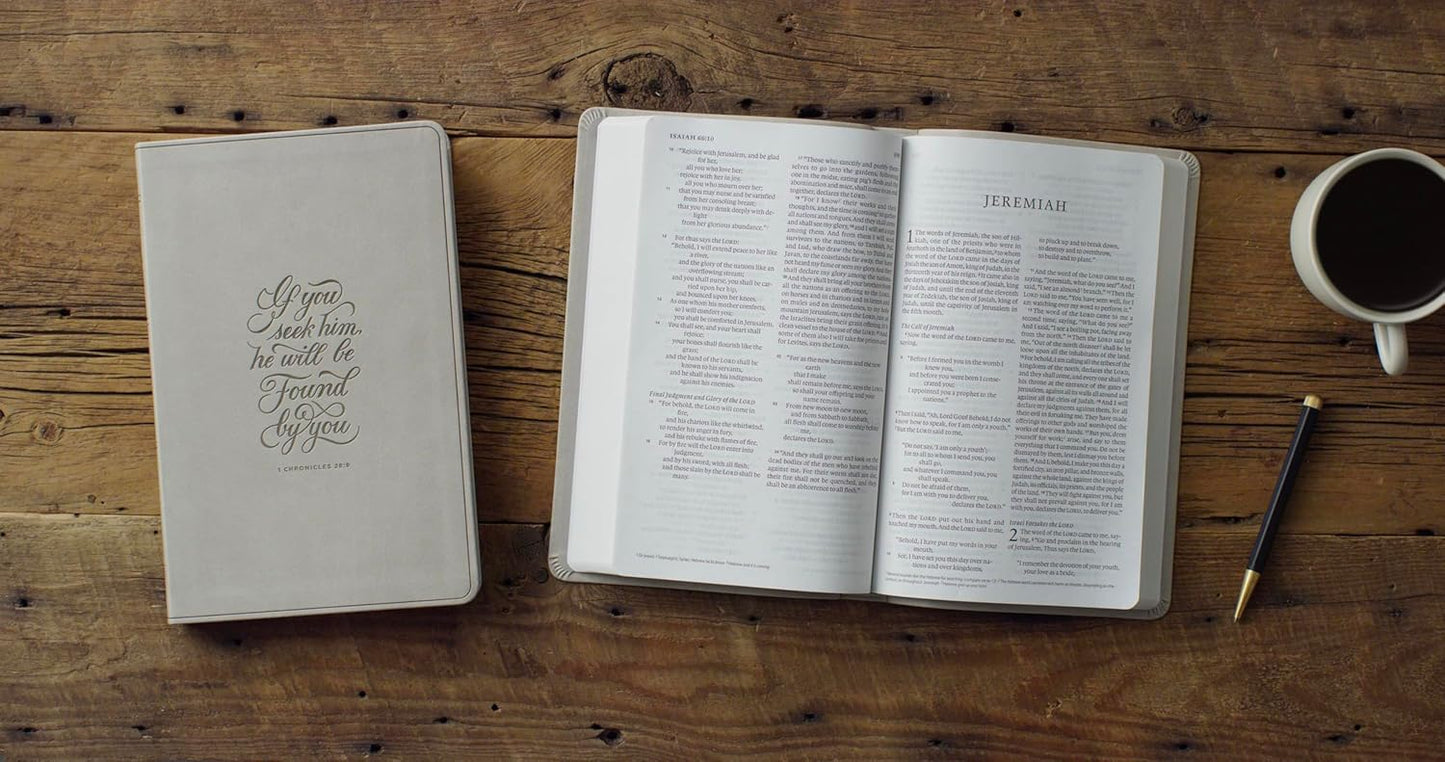 ESV LARGE PRINT VALUE THINLINE BIBLE STONE  1 CHRONICLES 28:9 DESIGN