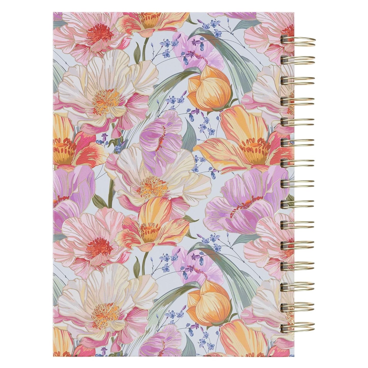 JOURNAL: I KNOW THE PLANS  FLORAL (SP)