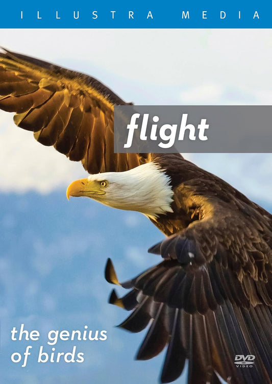 DVD FLIGHT: THE GENIUS OF BIRDS