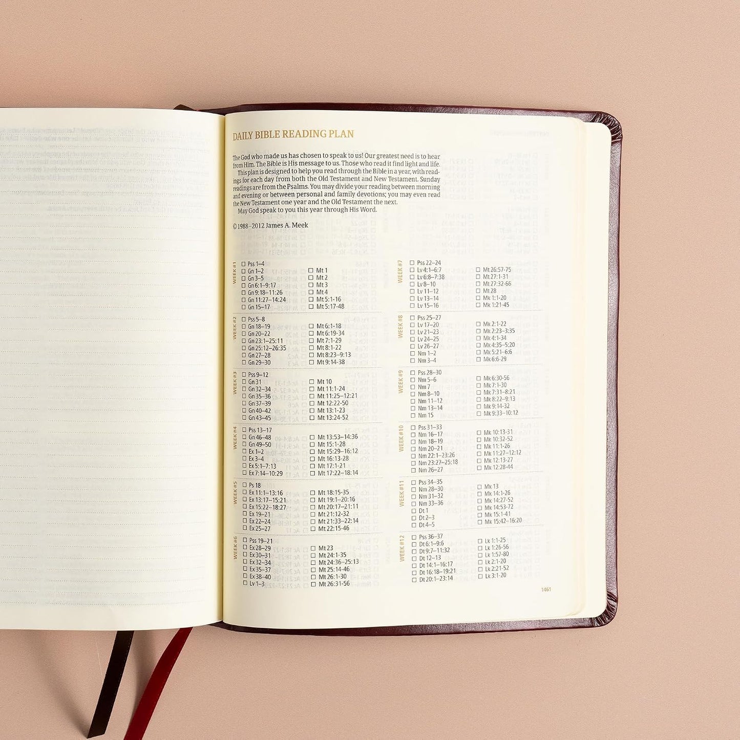 B CSB HOSANNA REVIVAL NOTETAKING BIBLE BURGUNDY