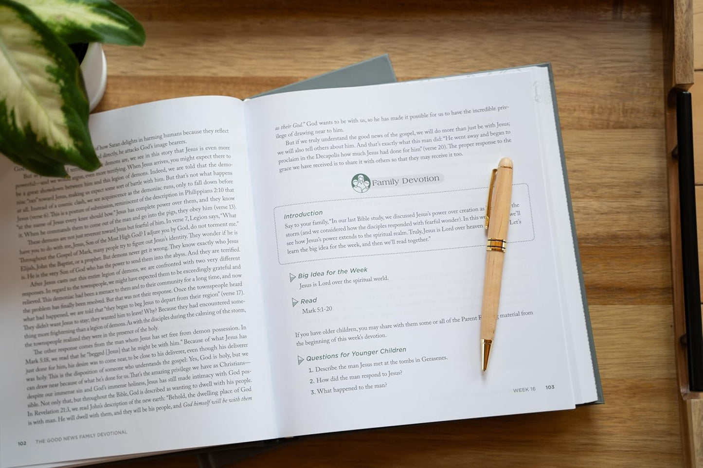 THE GOOD NEWS FAMILY DEVOTIONAL: 52 WEEKS THROUGH THE GOSPEL OF MARK