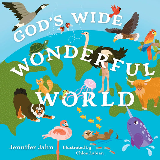 GODS WIDE  WONDERFUL WORLD: A FUN EXPLORATION OF ANIMAL CLASSES