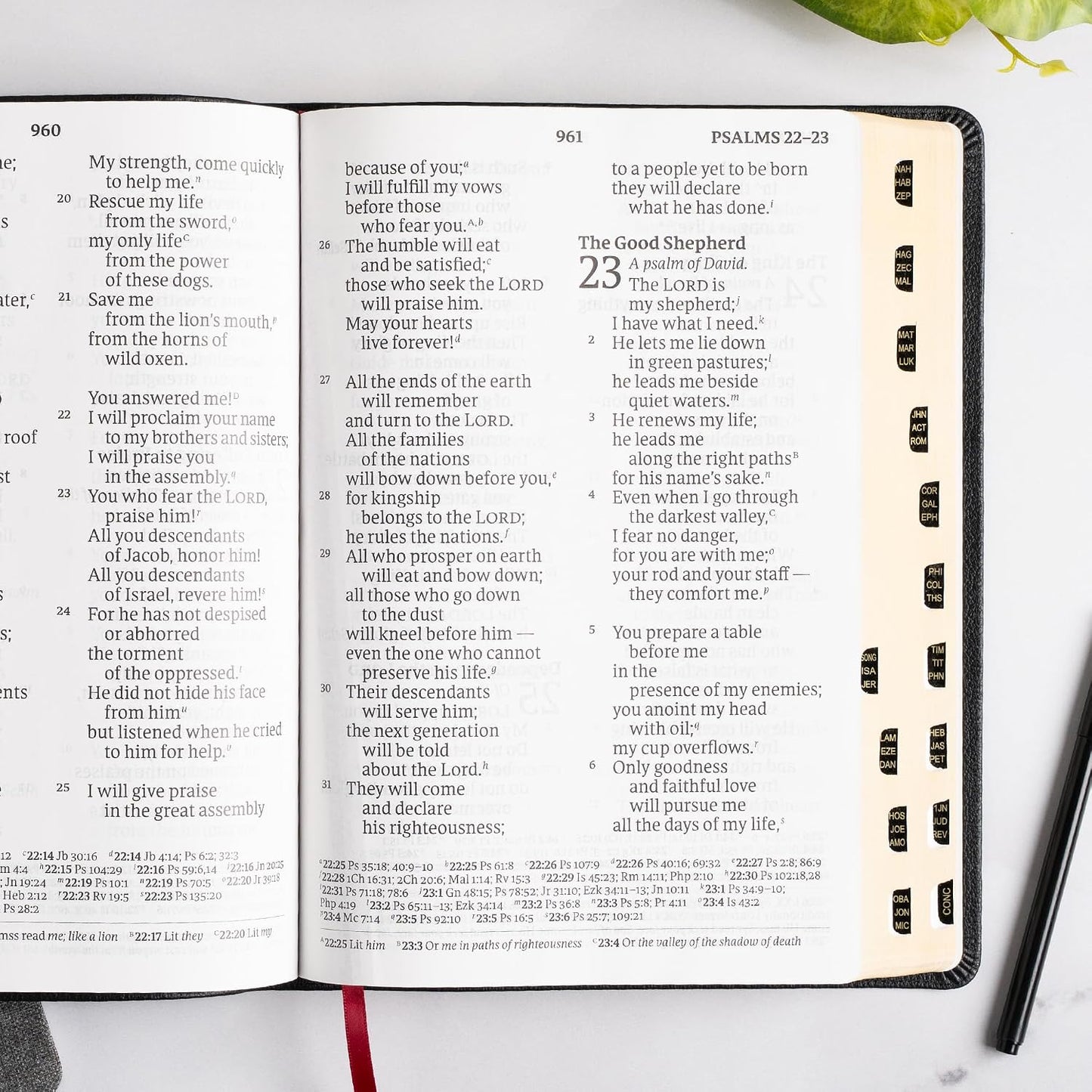 B CSB SUPER GIANT PRINT REFERENCE BIBLE  DIGITAL STUDY EDITION  BLACK INDEXED (RED LETTER EDITION)