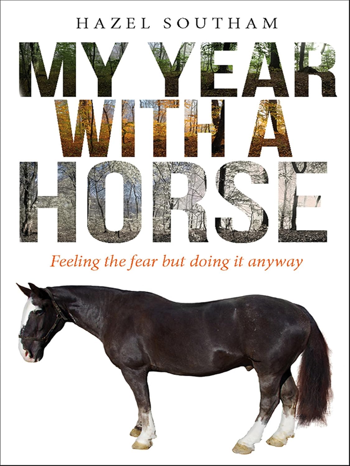 MY YEAR WITH A HORSE