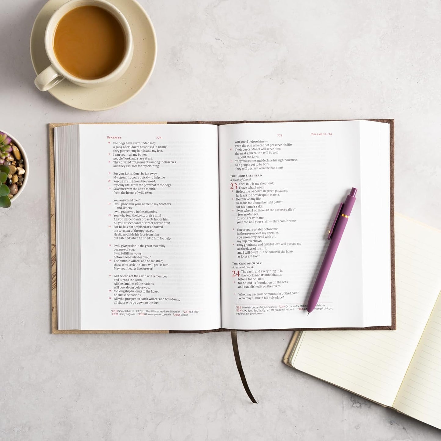 B CSB SINGLE-COLUMN WIDE-MARGIN BIBLE CREAM (BLACK LETTER EDITION)