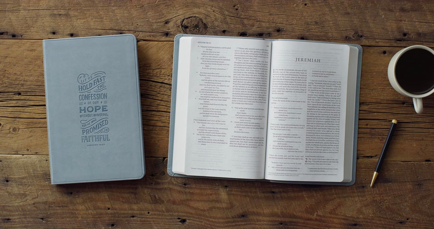 ESV LARGE PRINT VALUE THINLINE BIBLE PARIS SKY  HEBREWS 10:23 DESIGN