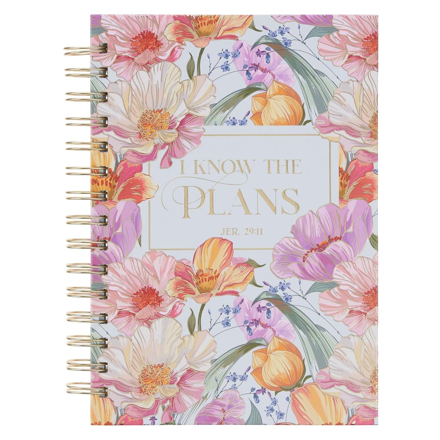 JOURNAL: I KNOW THE PLANS  FLORAL (SP)