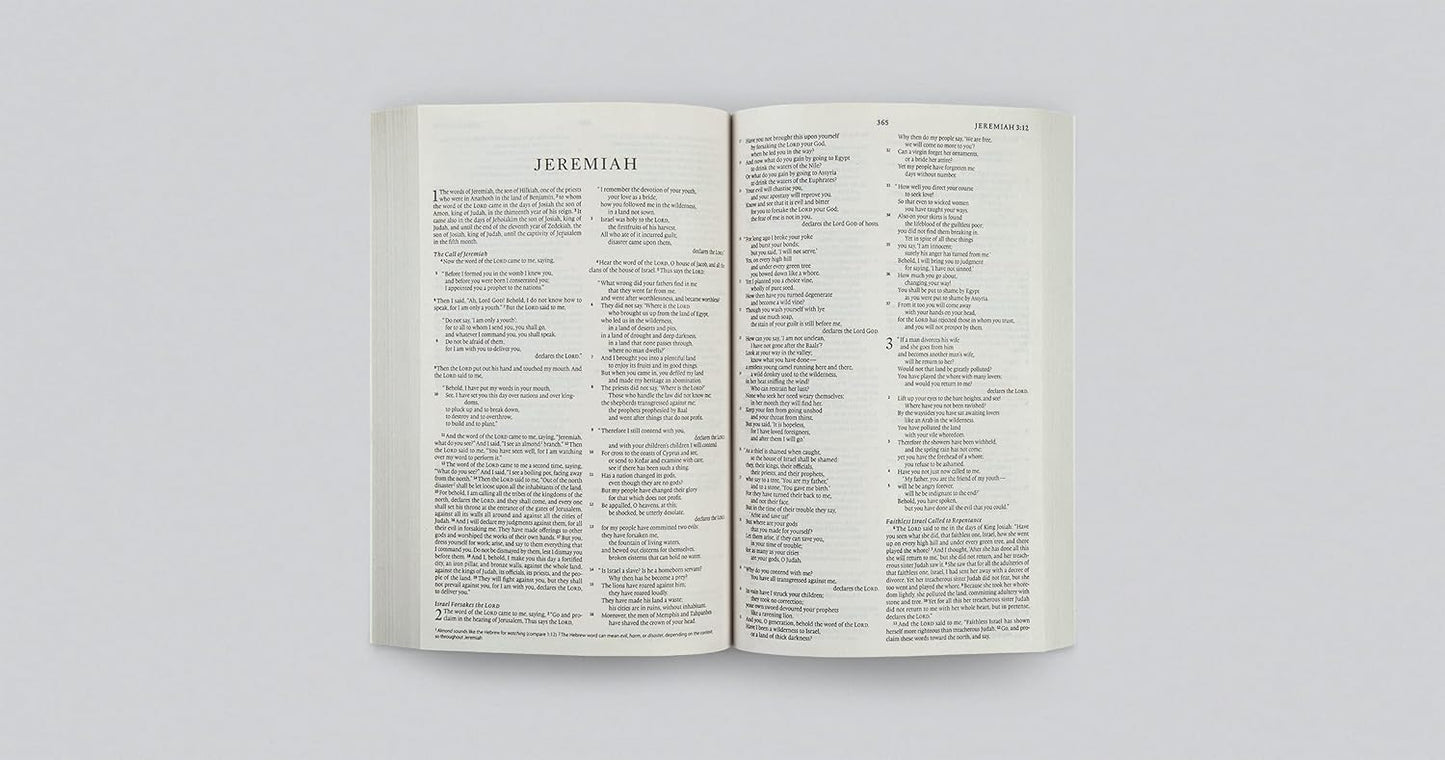 B ESV OUTREACH BIBLE  BLUE