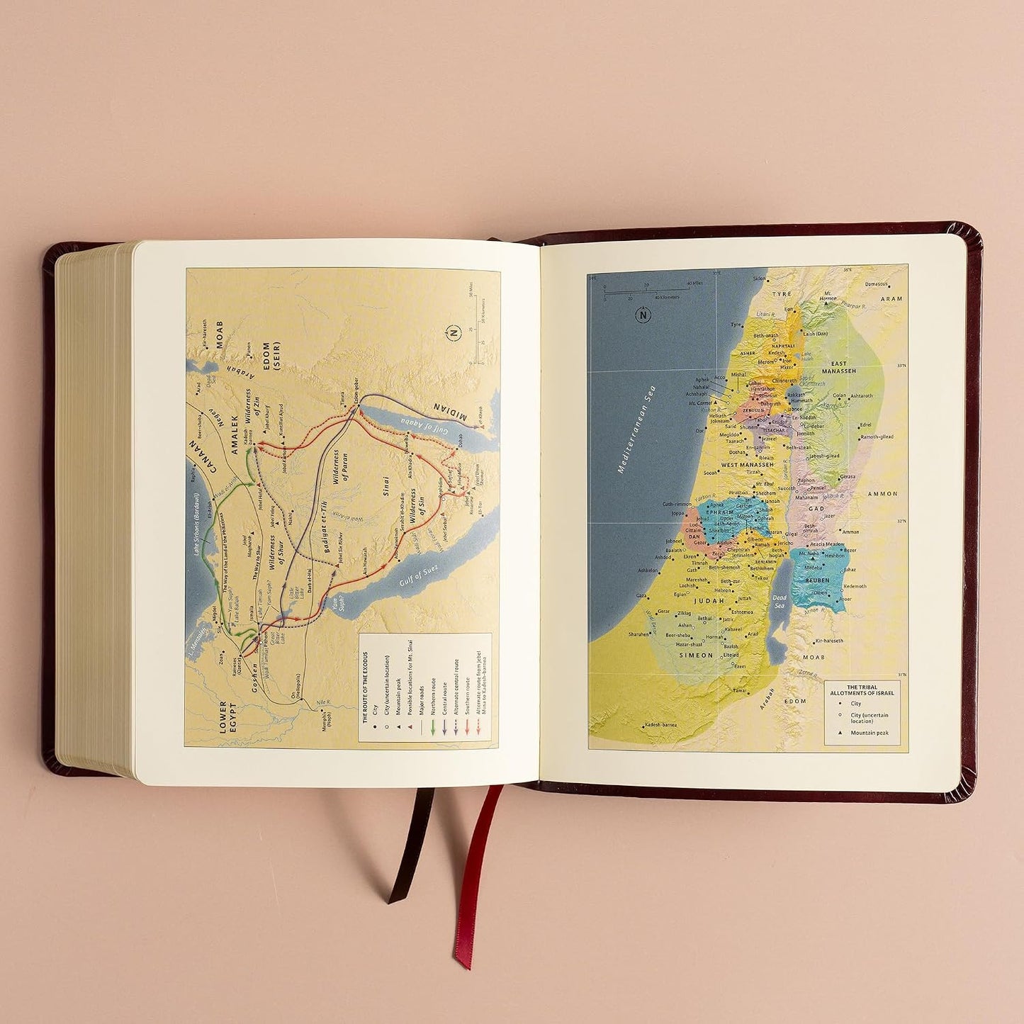 B CSB HOSANNA REVIVAL NOTETAKING BIBLE BURGUNDY