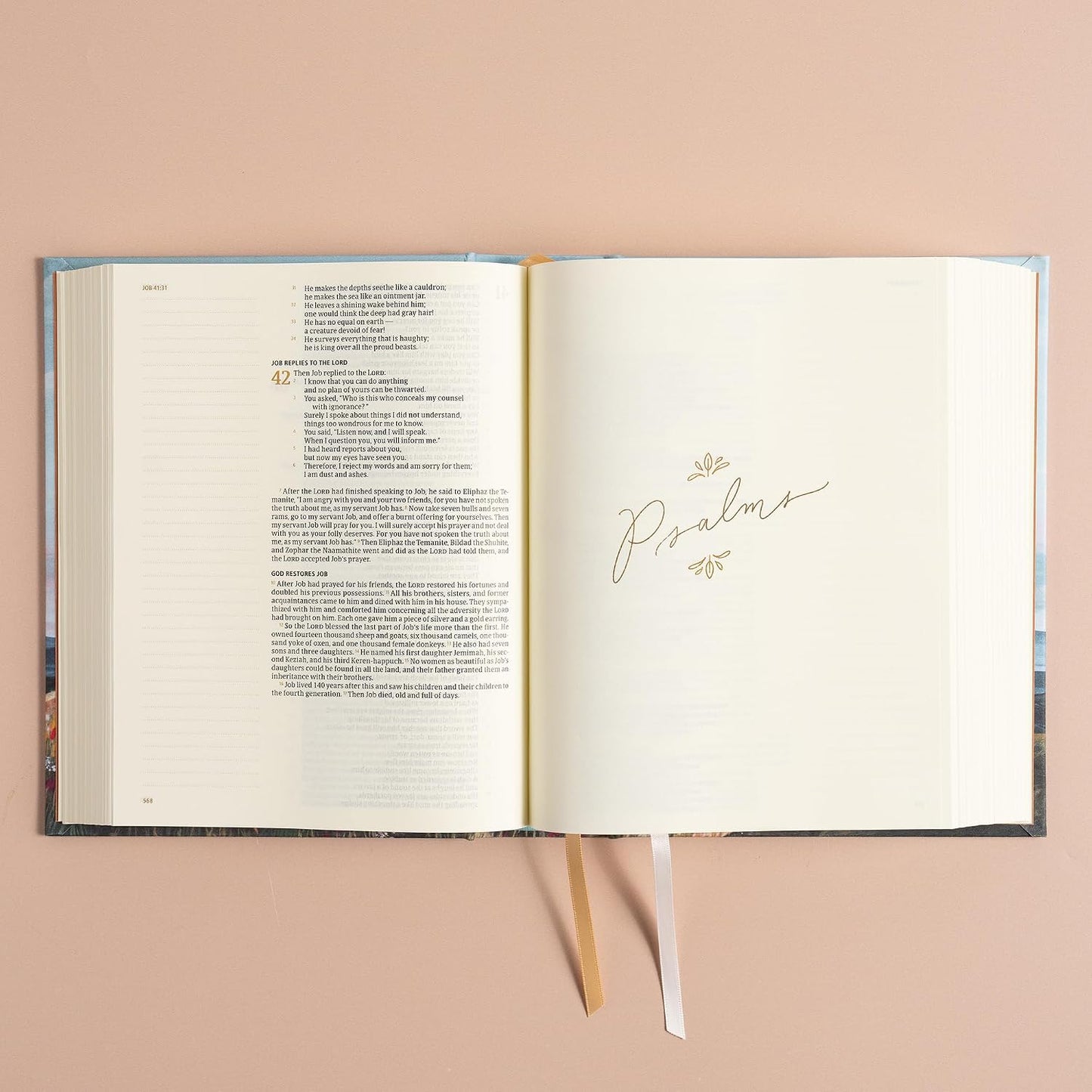 B CSB HOSANNA REVIVAL NOTETAKING BIBLE  MOUNTAIN