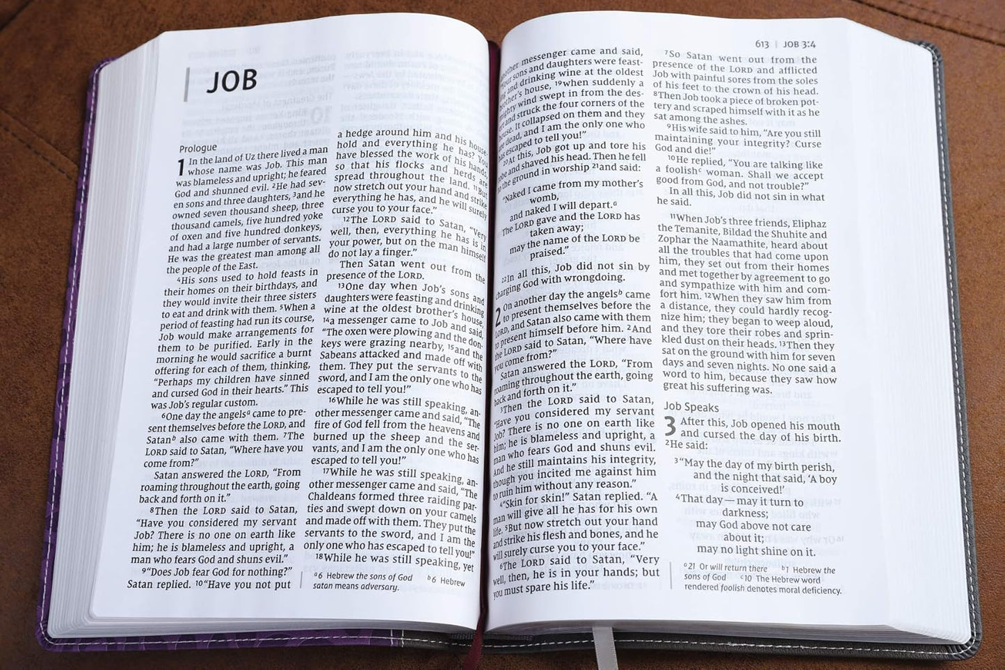 NIV THINLINE BIBLE GIANT PRINT GRAY/PURPLE (RED LETTER EDITION)