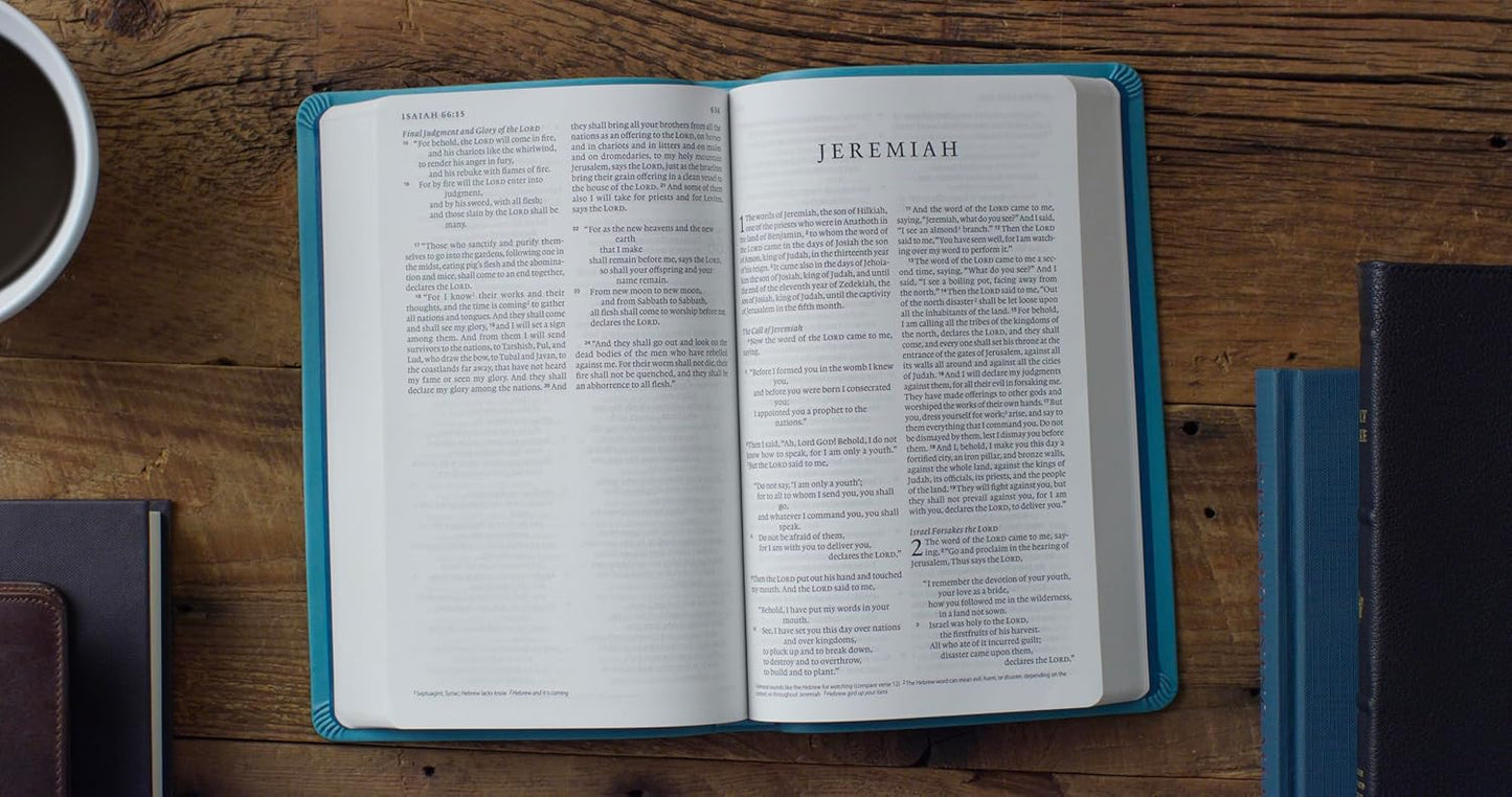 ESV PREMIUM GIFT BIBLE TEAL FLORAL DESIGN (BLACK LETTER EDITION)