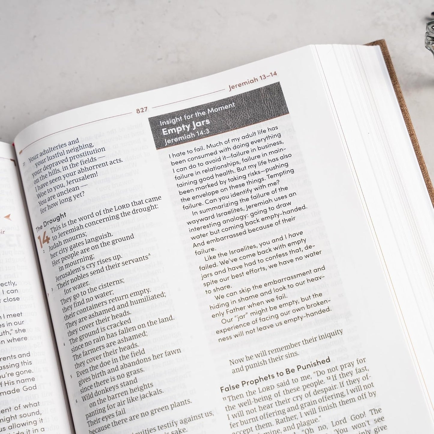 B CSB MEN'S DAILY BIBLE BROWN (BLACK LETTER EDITION)