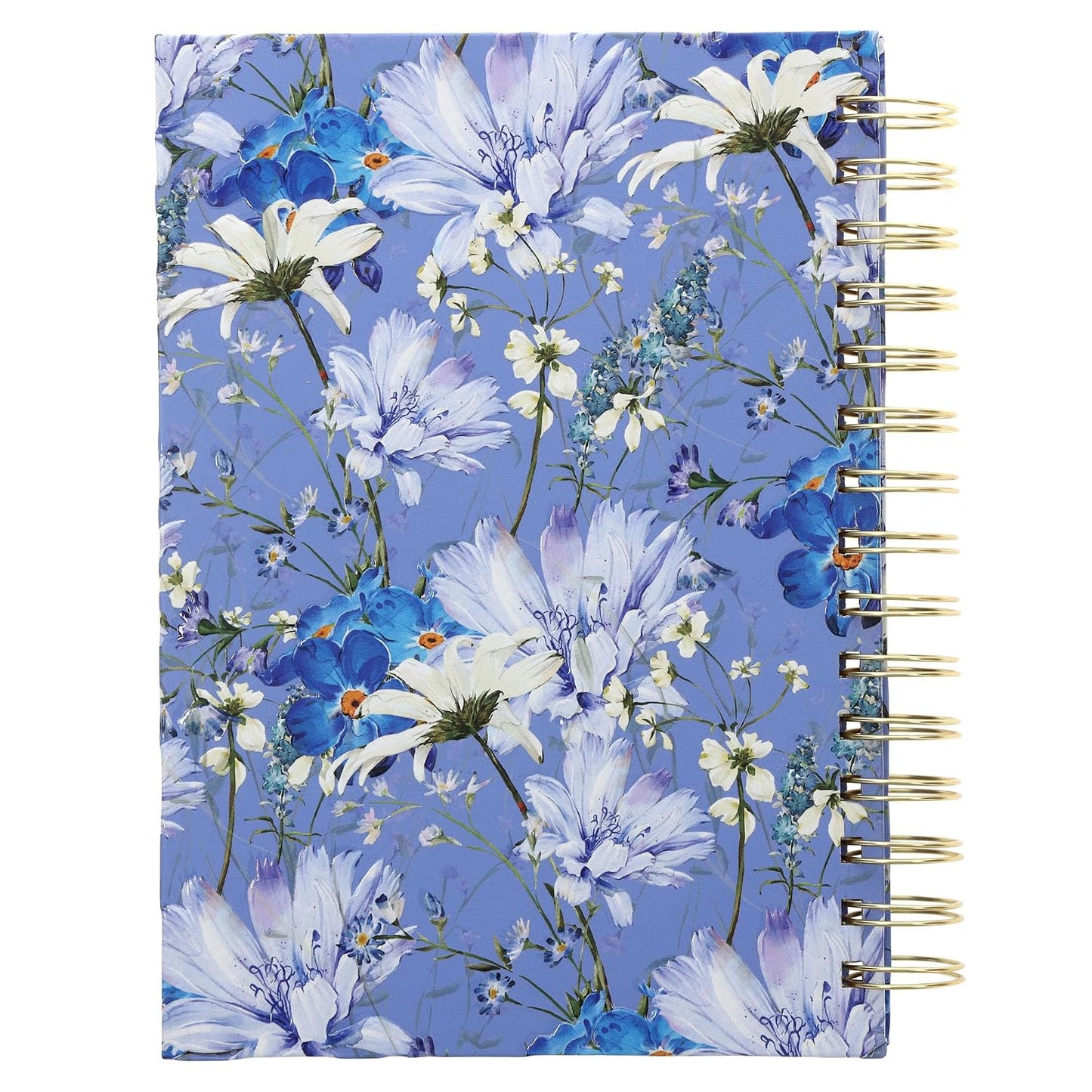 JOURNAL: BUTTERFLY  PRAY  BLUE