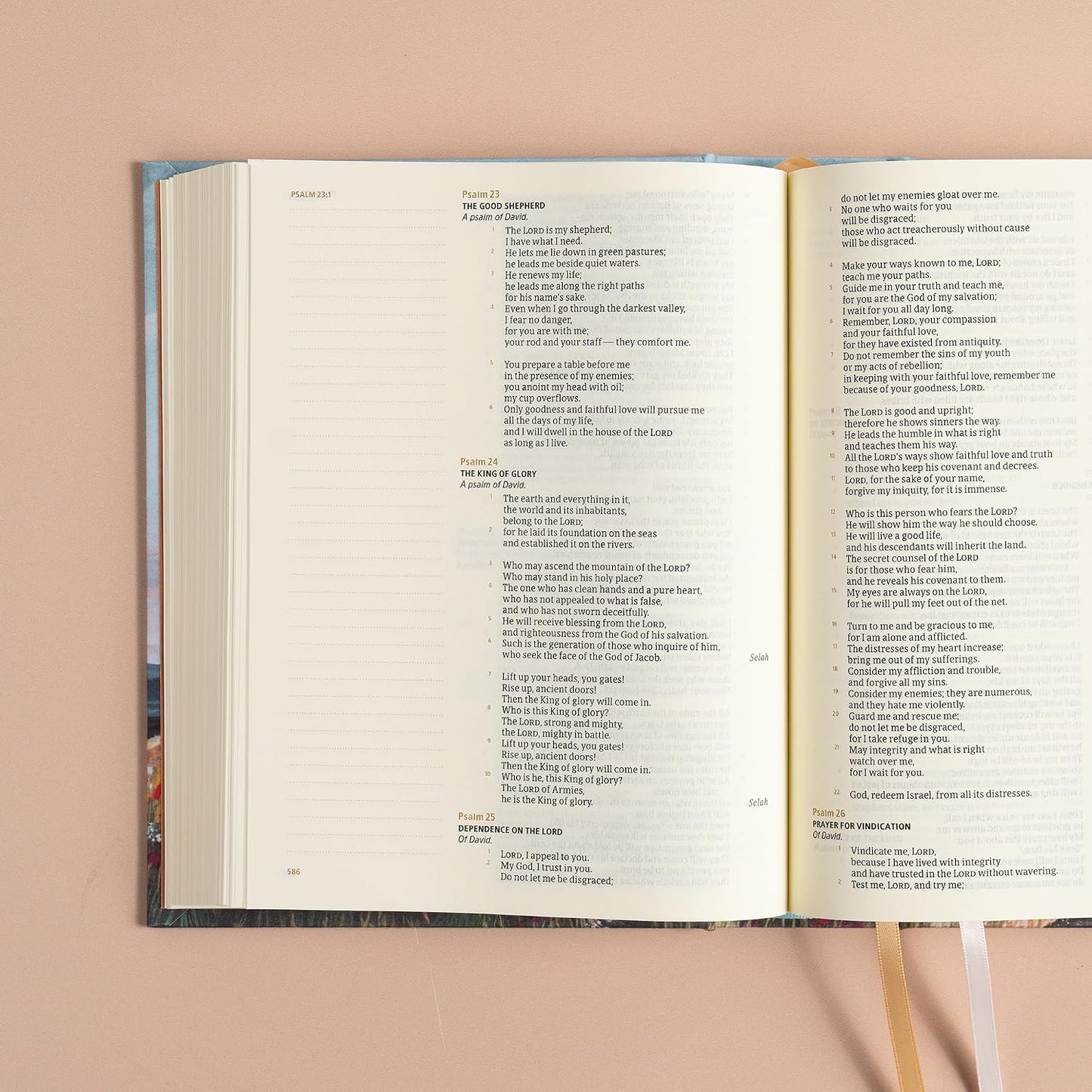 B CSB HOSANNA REVIVAL NOTETAKING BIBLE  MOUNTAIN