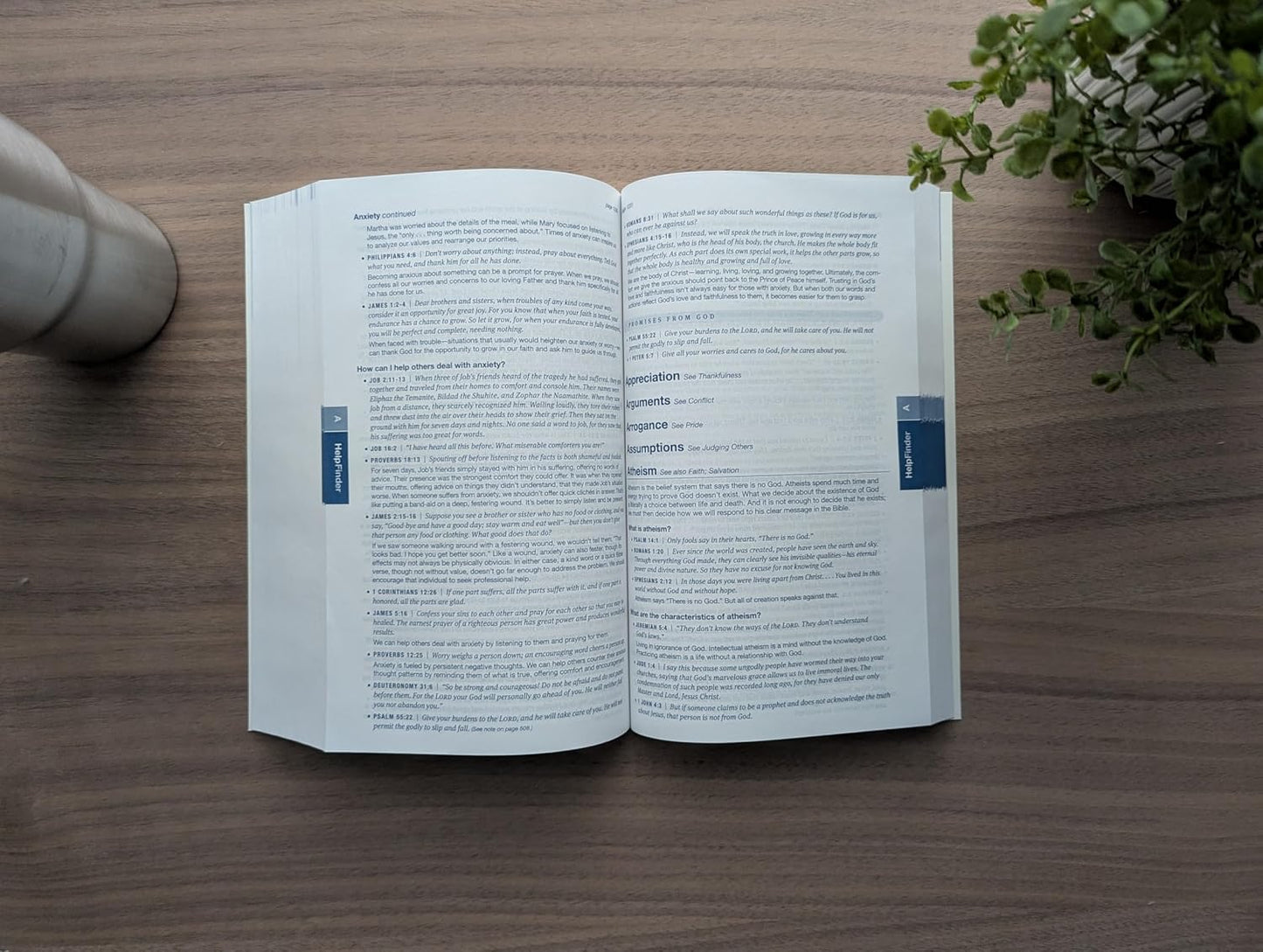 B NLT HELPFINDER BIBLE  FILAMENT ENABLED (RED LETTER EDITION)