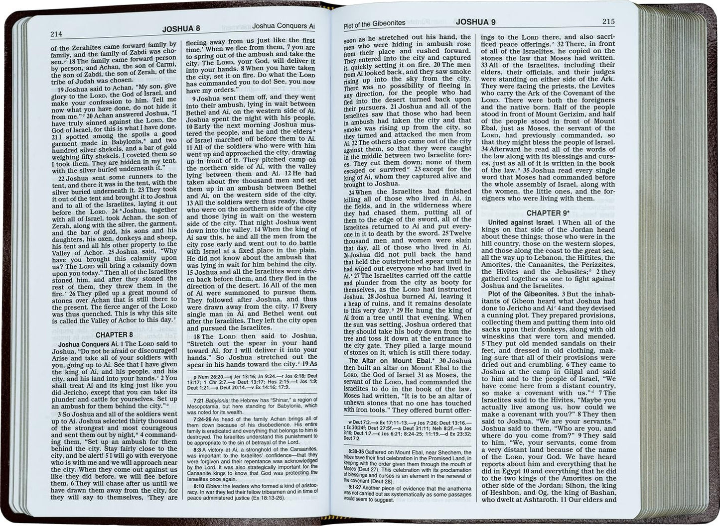 NCB GIFT & AWARD BIBLE  BURGUNDY (RED LETTER EDITION)