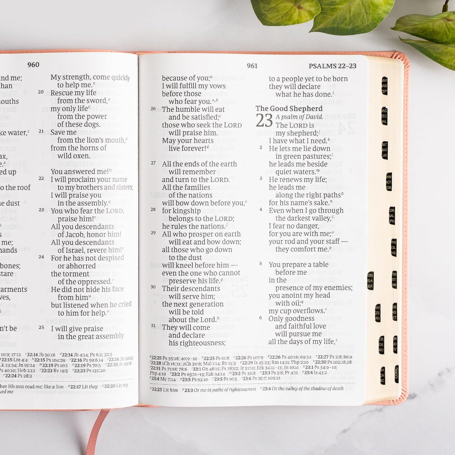 B CSB SUPER GIANT PRINT REFERENCE BIBLE  DIGITAL STUDY EDITION  PINK INDEXED (RED LETTER EDITION)