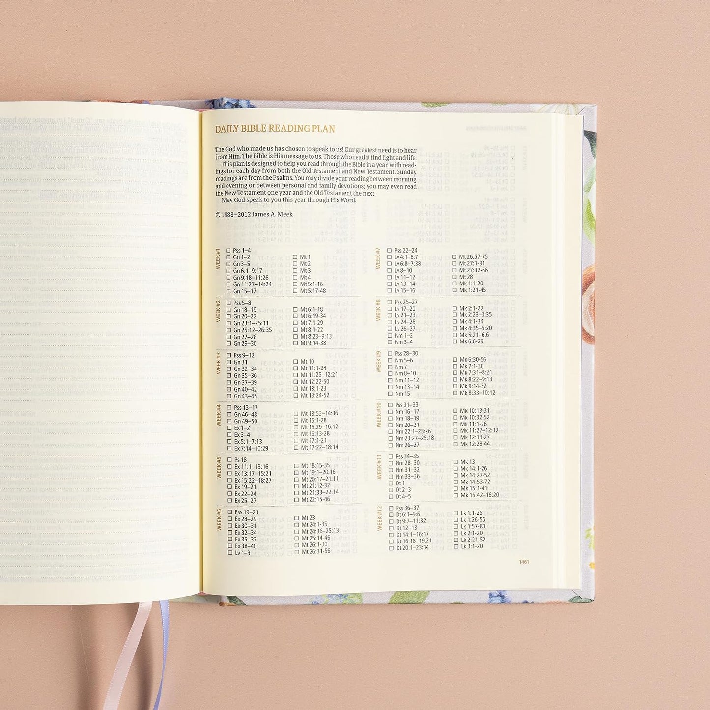 B CSB HOSANNA REVIVAL NOTETAKING BIBLE  LOVELAND