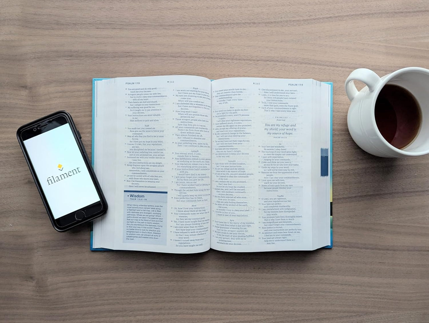 NLT HELPFINDER BIBLE  FILAMENT ENABLED (RED LETTER EDITION)