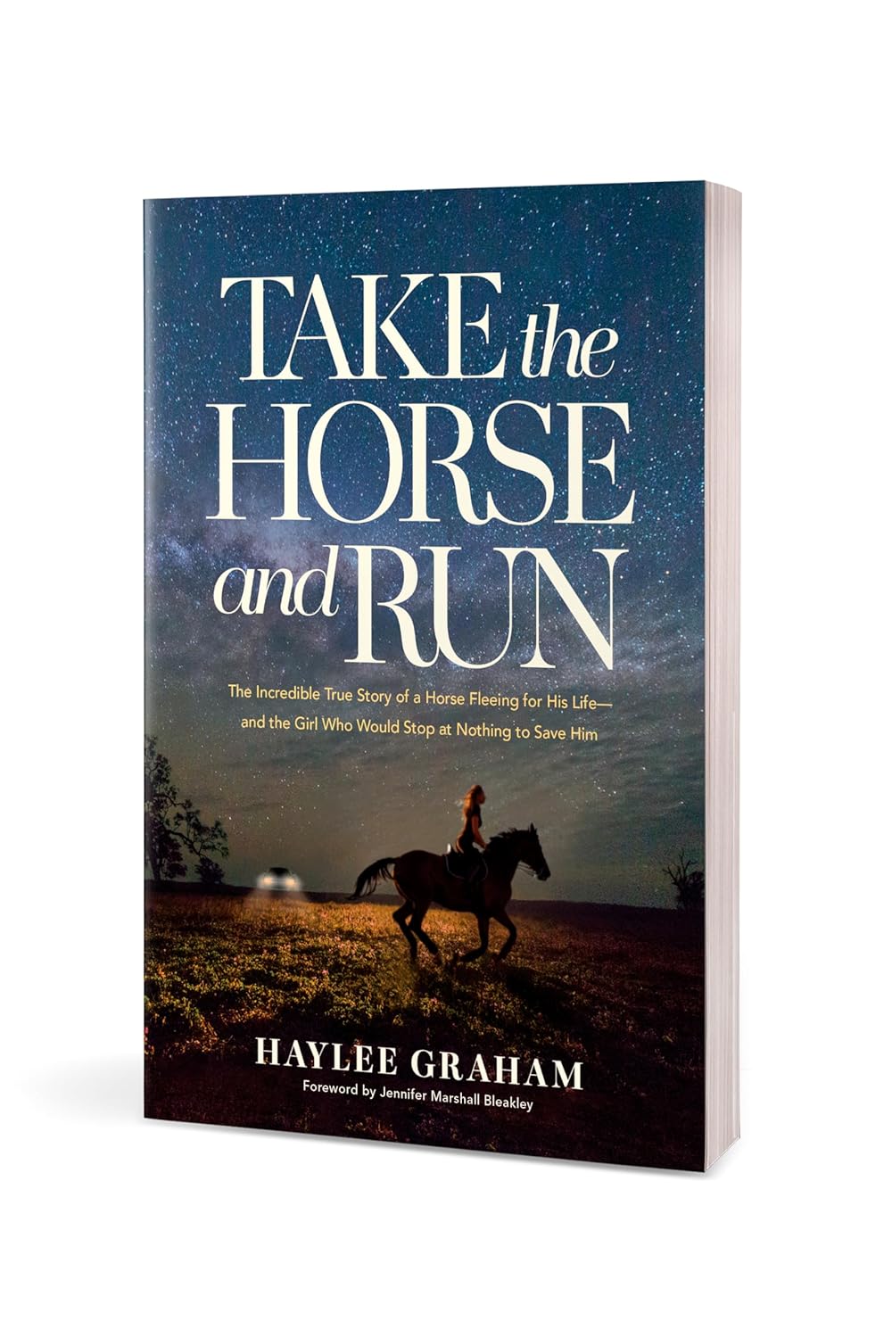 TAKE THE HORSE AND RUN: THE INCREDIBLE TRUE STORY OF A HORSE FLEEING FOR HIS LIFE - AND THE GIRL WHO WOULD STOP AT NOTHING TO SAVE HIM