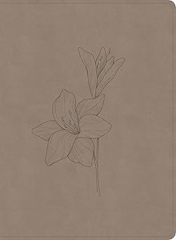 B CSB VERSE-BY-VERSE REFERENCE BIBLE DIGITAL STUDY EDITION EARTH (BLACK LETTER EDITION)