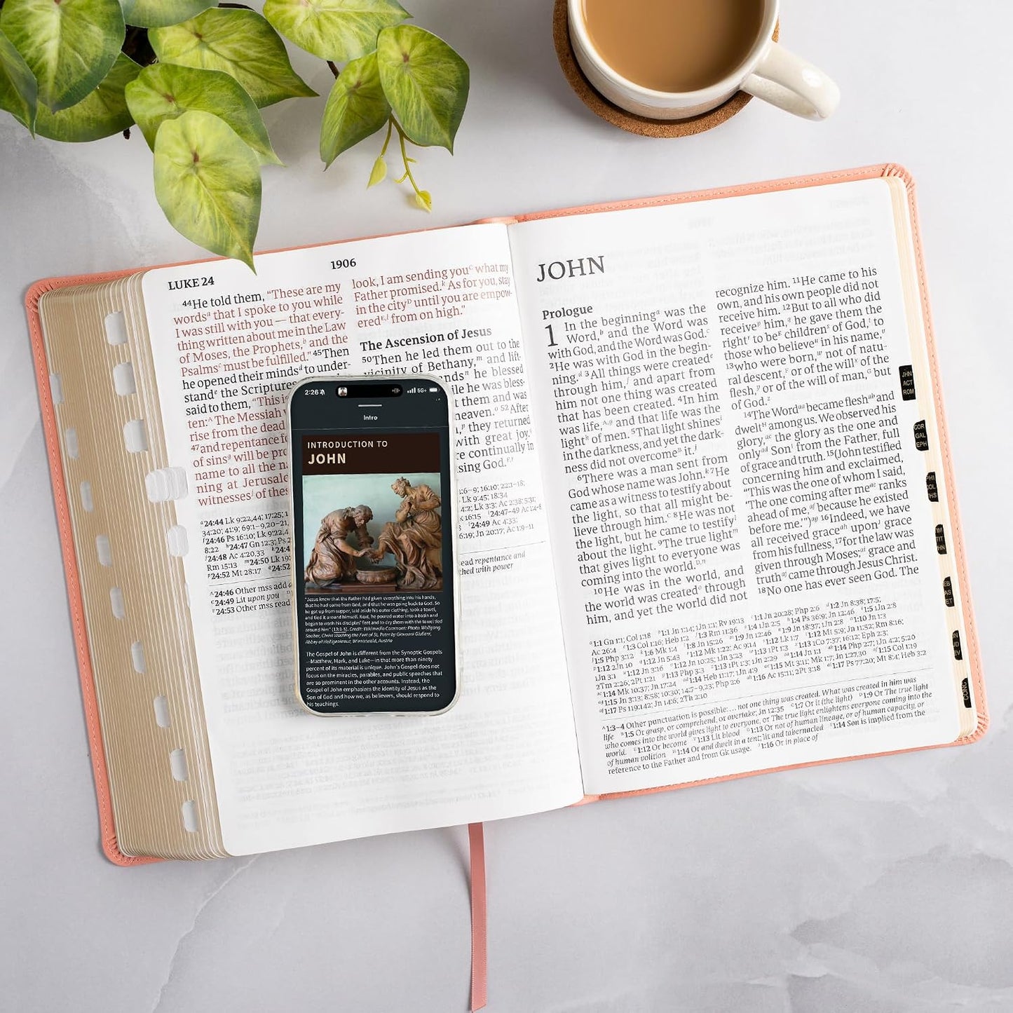 B CSB SUPER GIANT PRINT REFERENCE BIBLE  DIGITAL STUDY EDITION  PINK INDEXED (RED LETTER EDITION)