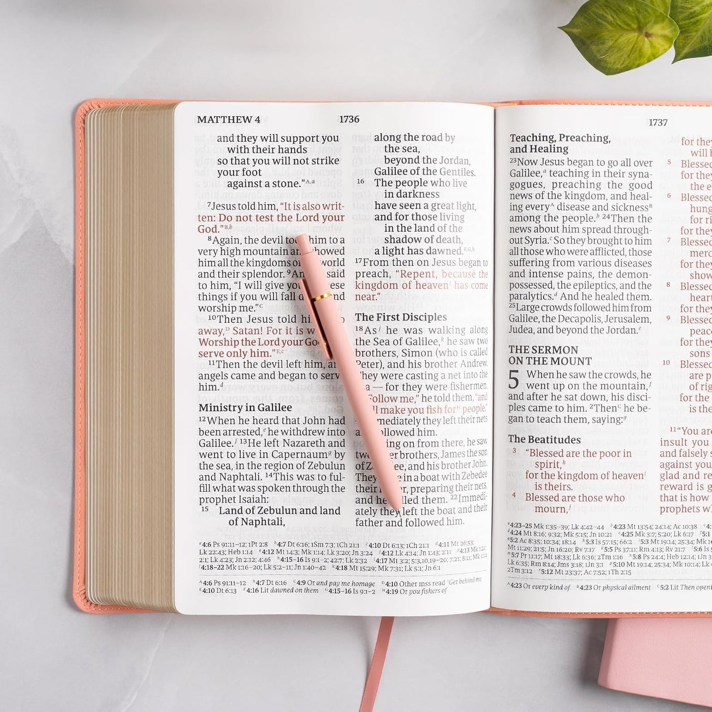 B CSB SUPER GIANT PRINT REFERENCE BIBLE  DIGITAL STUDY EDITION  PINK (RED LETTER EDITION)