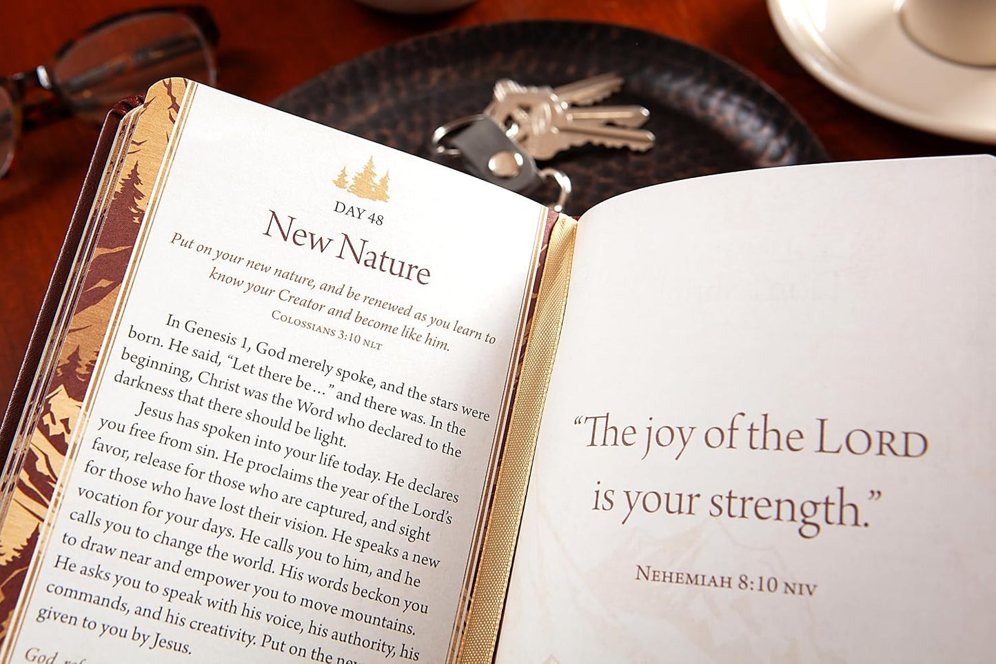 100 DAYS OF STRENGTH FOR MEN: POCKETBOOKS BY BROADSTREET