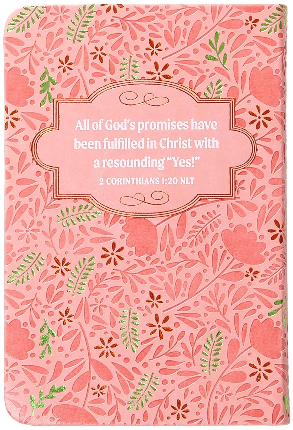 100 BIBLE PROMISES FOR WOMEN