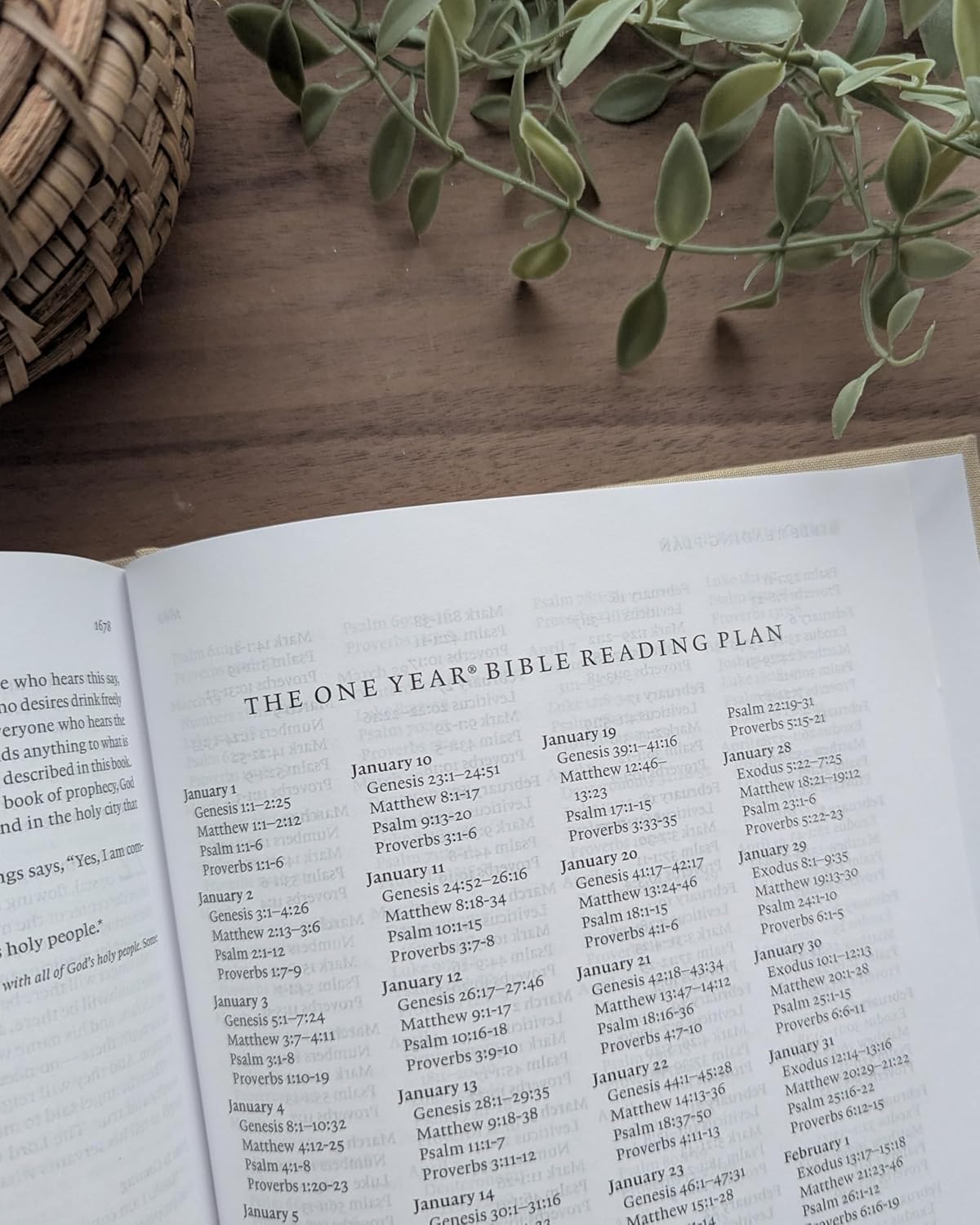 B NLT REFLECTIONS BIBLE ARTIST'S EDITION