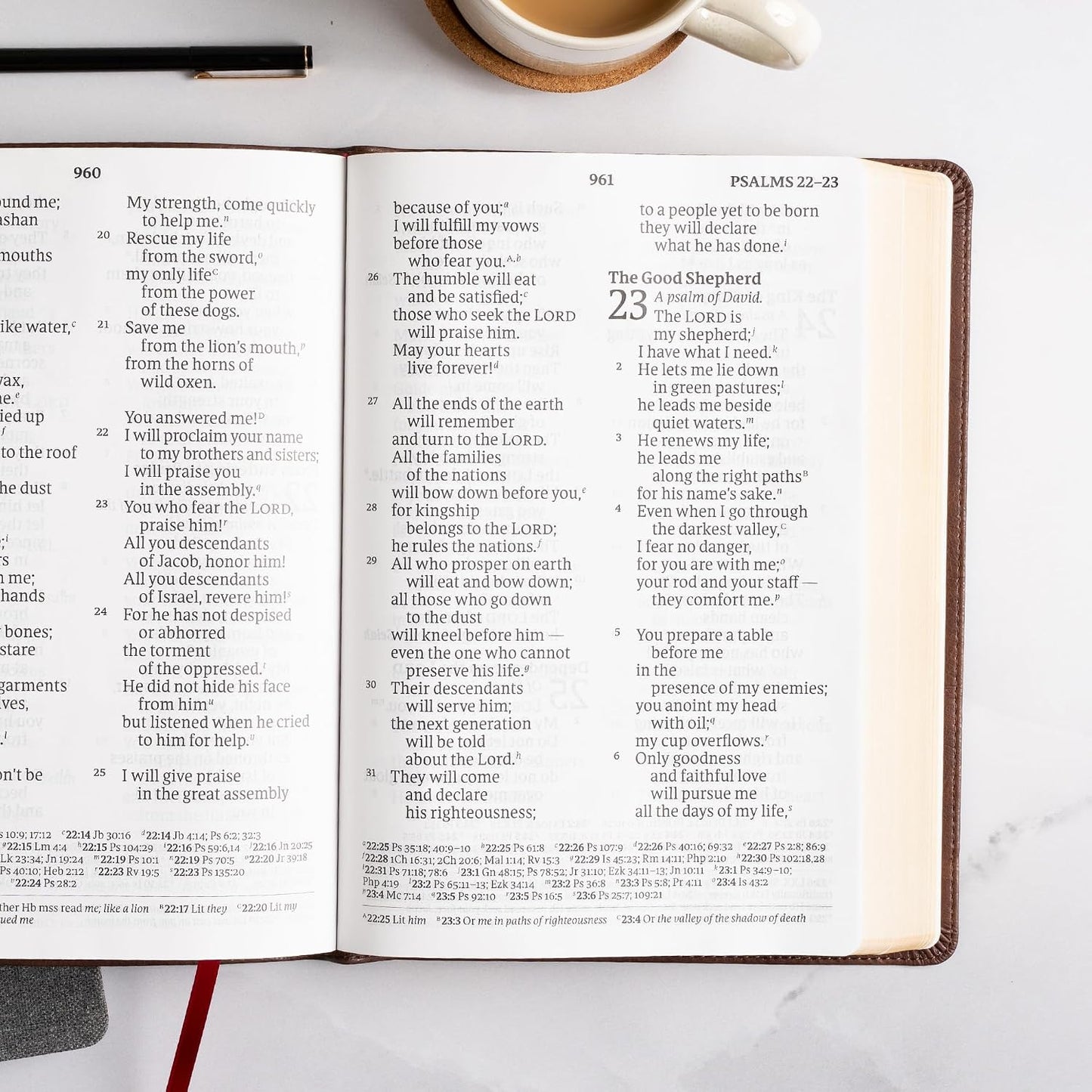 B CSB SUPER GIANT PRINT REFERENCE BIBLE  DIGITAL STUDY EDITION  BROWN (RED LETTER EDITION)