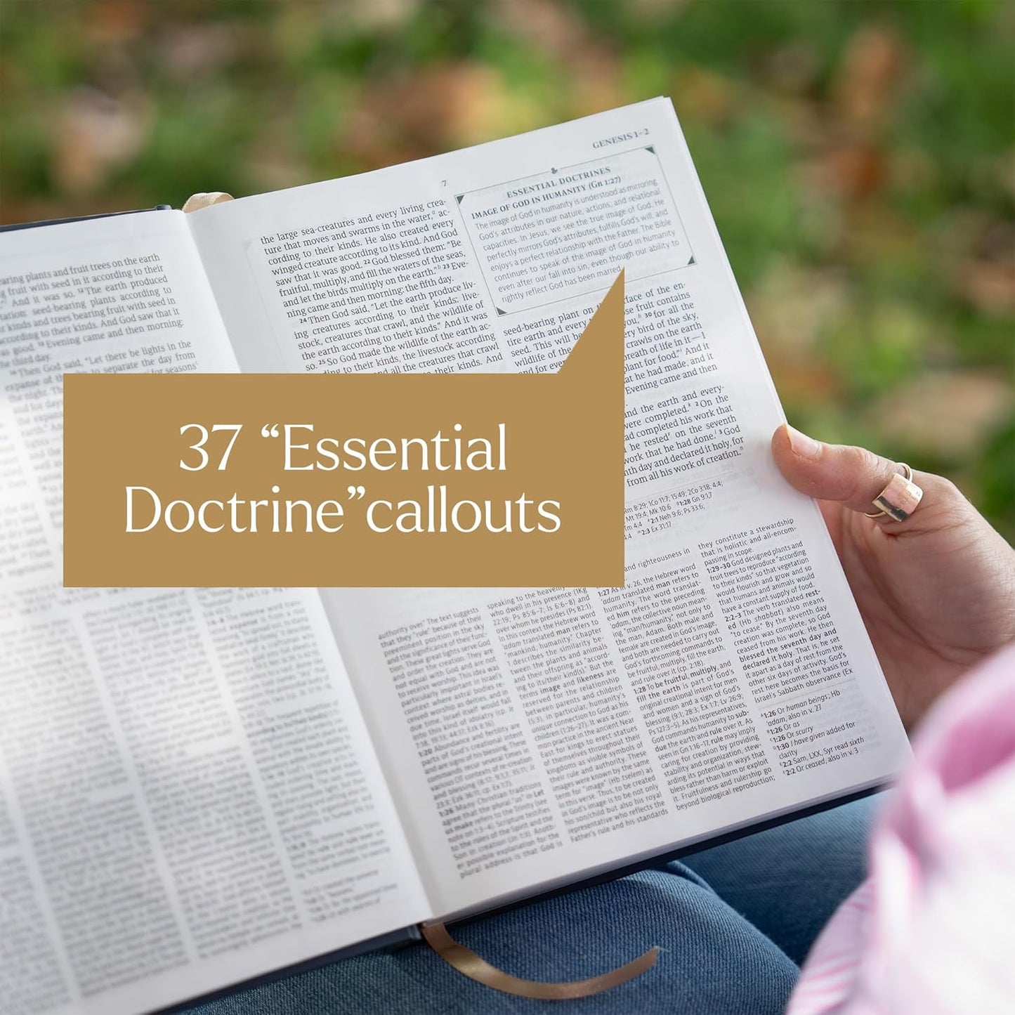 B CSB WOMEN'S STUDY BIBLE