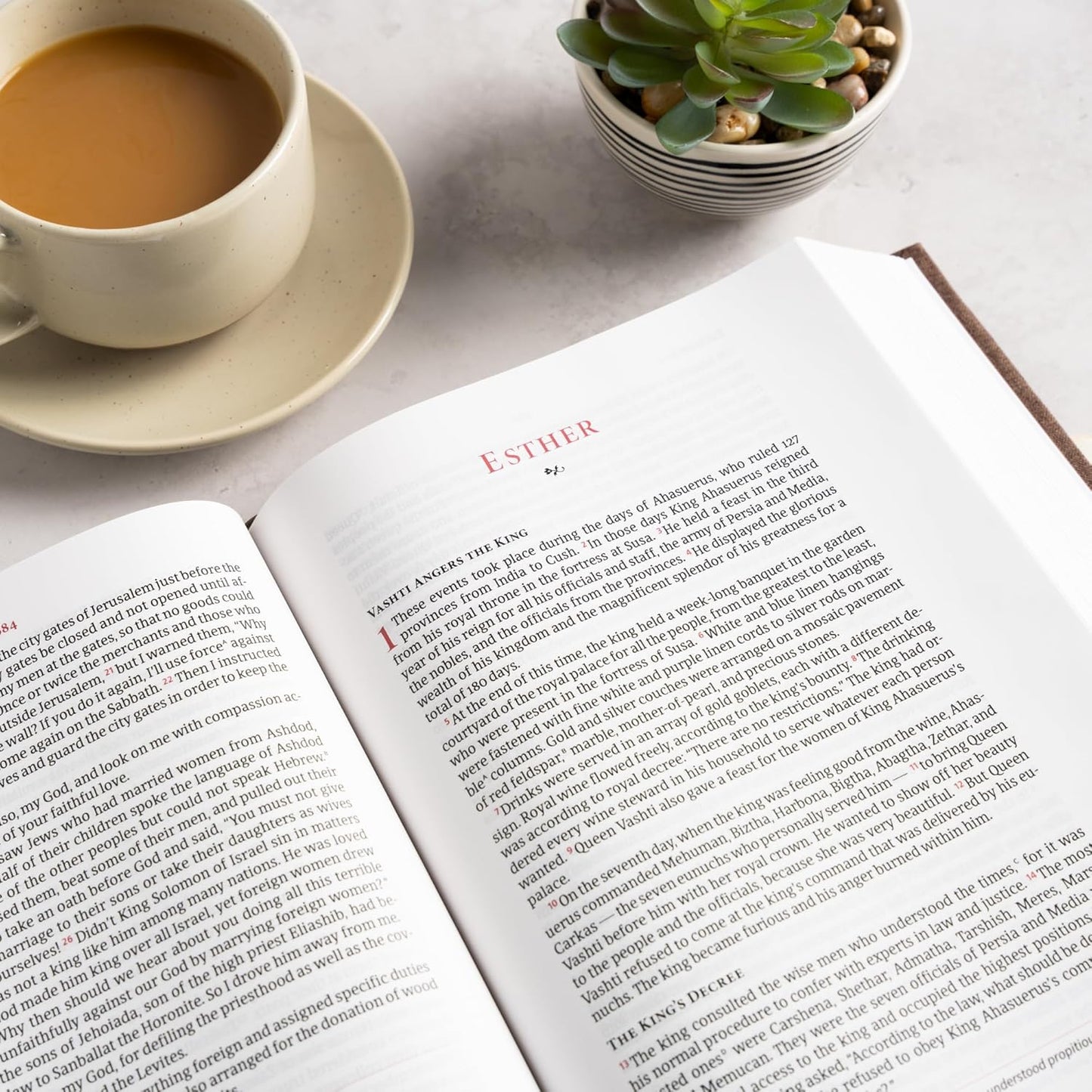 B CSB SINGLE-COLUMN WIDE-MARGIN BIBLE CREAM (BLACK LETTER EDITION)