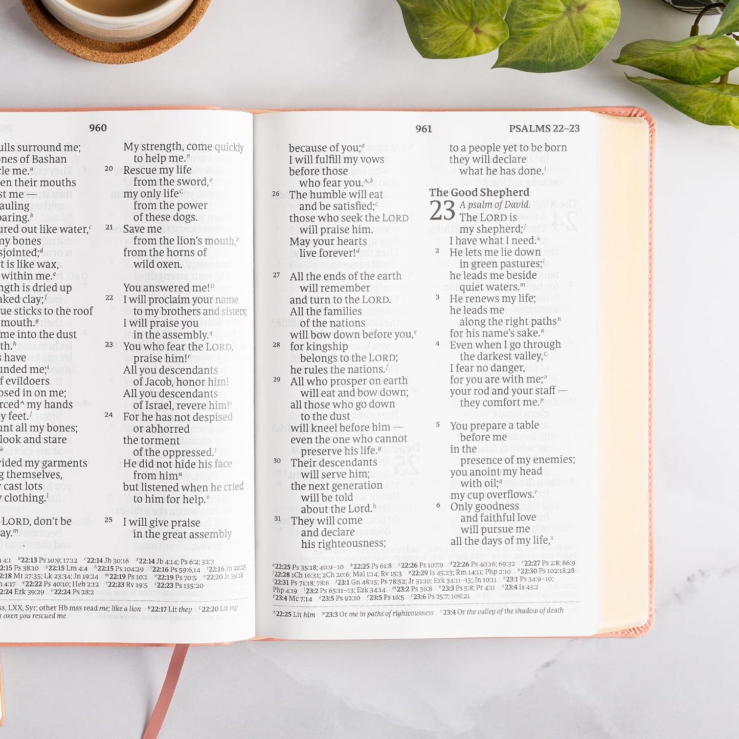 B CSB SUPER GIANT PRINT REFERENCE BIBLE  DIGITAL STUDY EDITION  PINK (RED LETTER EDITION)