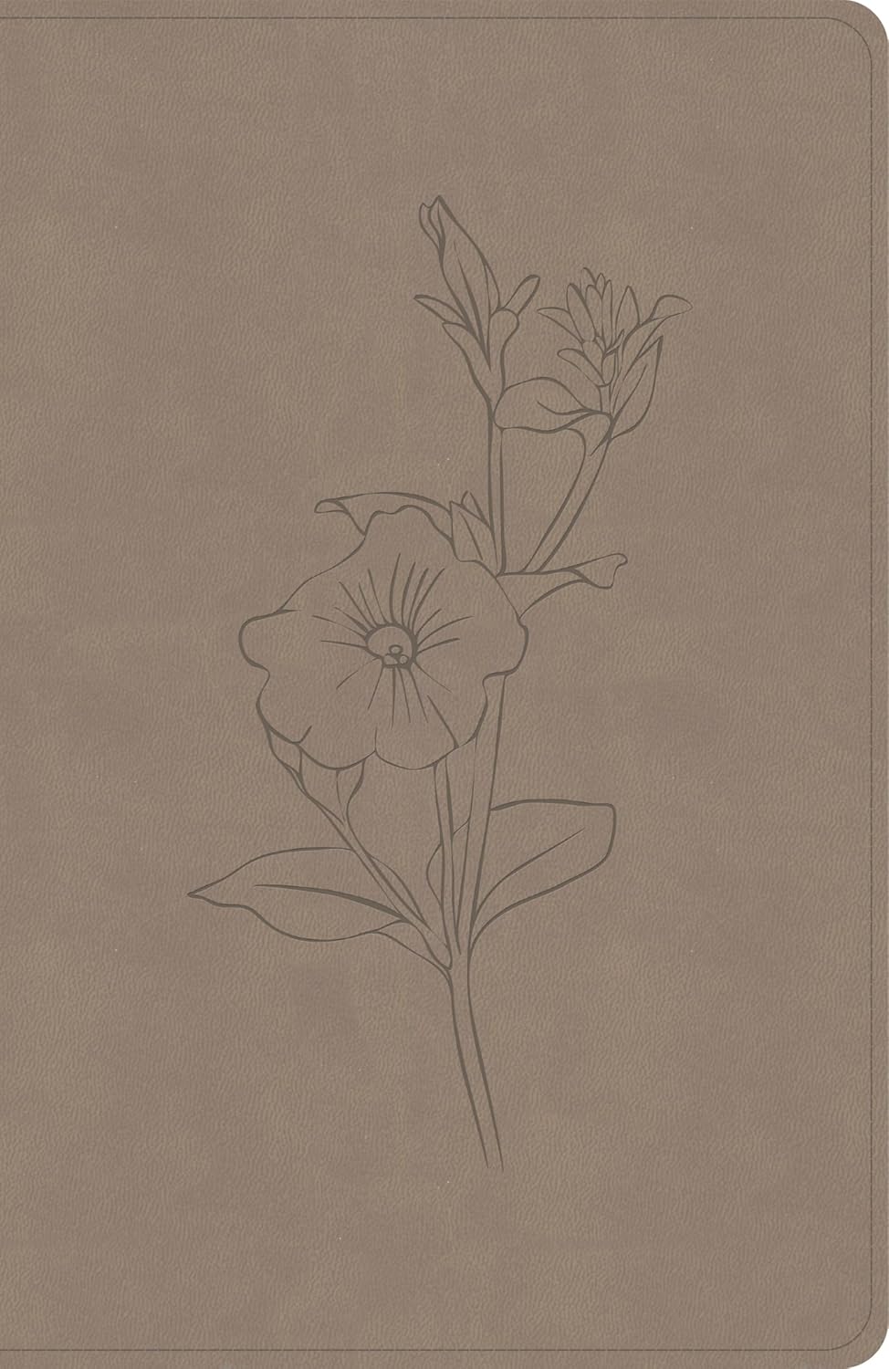 B CSB PERSONAL SIZE GIANT PRINT BIBLE EARTH INDEXED (RED LETTER EDITION)